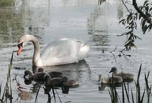 spiritual healing blog