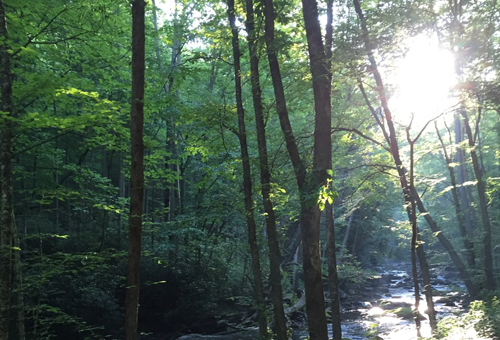 spiritual inspiration